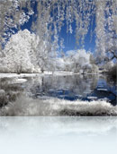 Красивое картинго